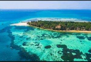 Promoting Ocean Protection and Conservation in East Africa .
