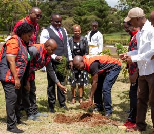Kenya Taekwondo Federation Leads Green Charge with Mazingira Day Tree Planting Drive.