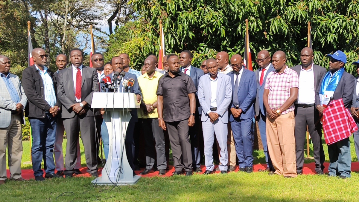 United Opposition Unites Behind Joint By-Election Candidates in 2027 Game Plan.