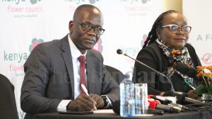 Conducive Business Climate Seen as Lifeline for Kenya’s Global Flower Dominance