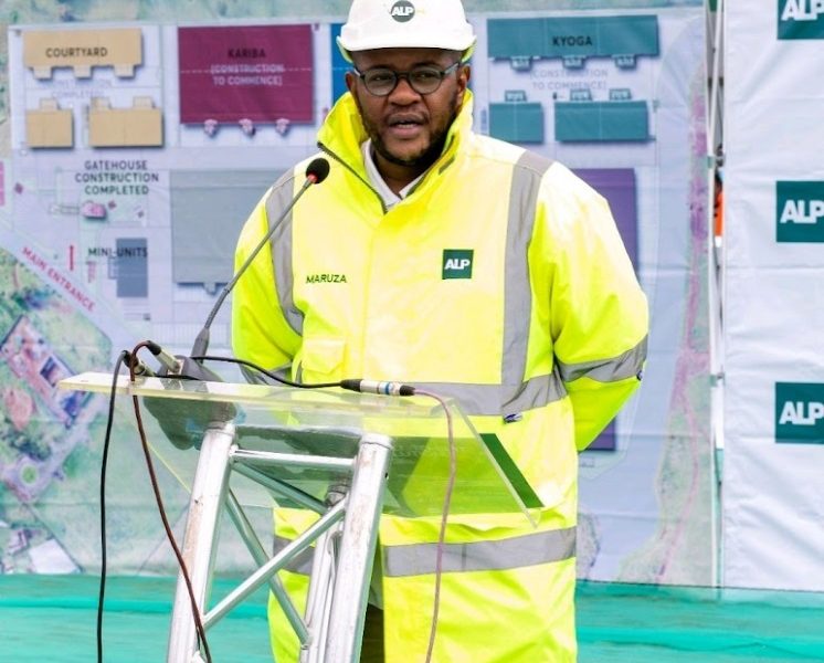 British Tycoon Linked to Sh364 Million Employment Case at Africa Logistics Properties