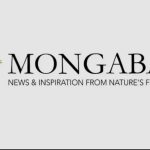Mongabay Launches Swahili Platform to Expand Conservation Reporting