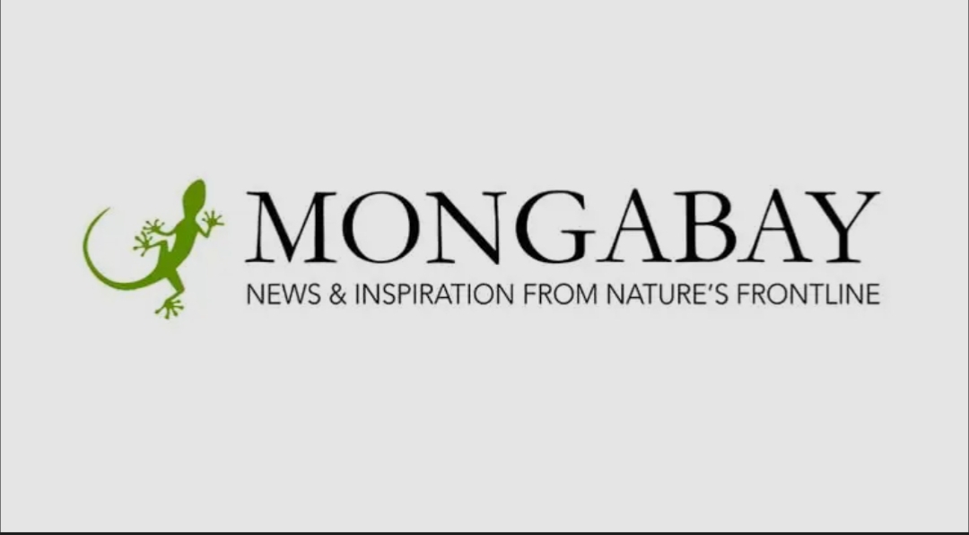 Mongabay Launches Swahili Platform to Expand Conservation Reporting
