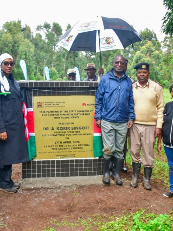 Partnerships Power Forest Revival in Limuru