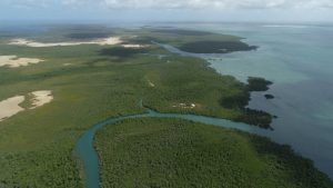 Where Conservation Meets the Ocean: How Northern Rangelands Trust is Redefining Coastal Economies