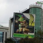 Safaricom Leads Quality Rankings as Telecom Performance Slips