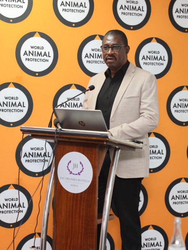 World Animal Protection Raises Alarm Over Surge in Kenya’s Live Reptile Exports