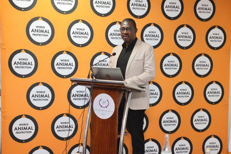 World Animal Protection Raises Alarm Over Surge in Kenya’s Live Reptile Exports