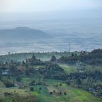 Earthbanc Delivers over 3 Million Seedlings to Kenya Forest Service in support of the Jaza Miti InitiativeNairobi