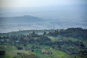 Earthbanc Delivers over 3 Million Seedlings to Kenya Forest Service in support of the Jaza Miti InitiativeNairobi