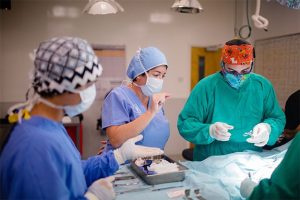 St. George’s University Highlights Rising Demand for Emergency Medicine Specialists