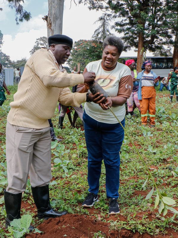 Safal Eye in the Wild Marks World Environment Day With 1,000-Tree Green Zone at Lenana School