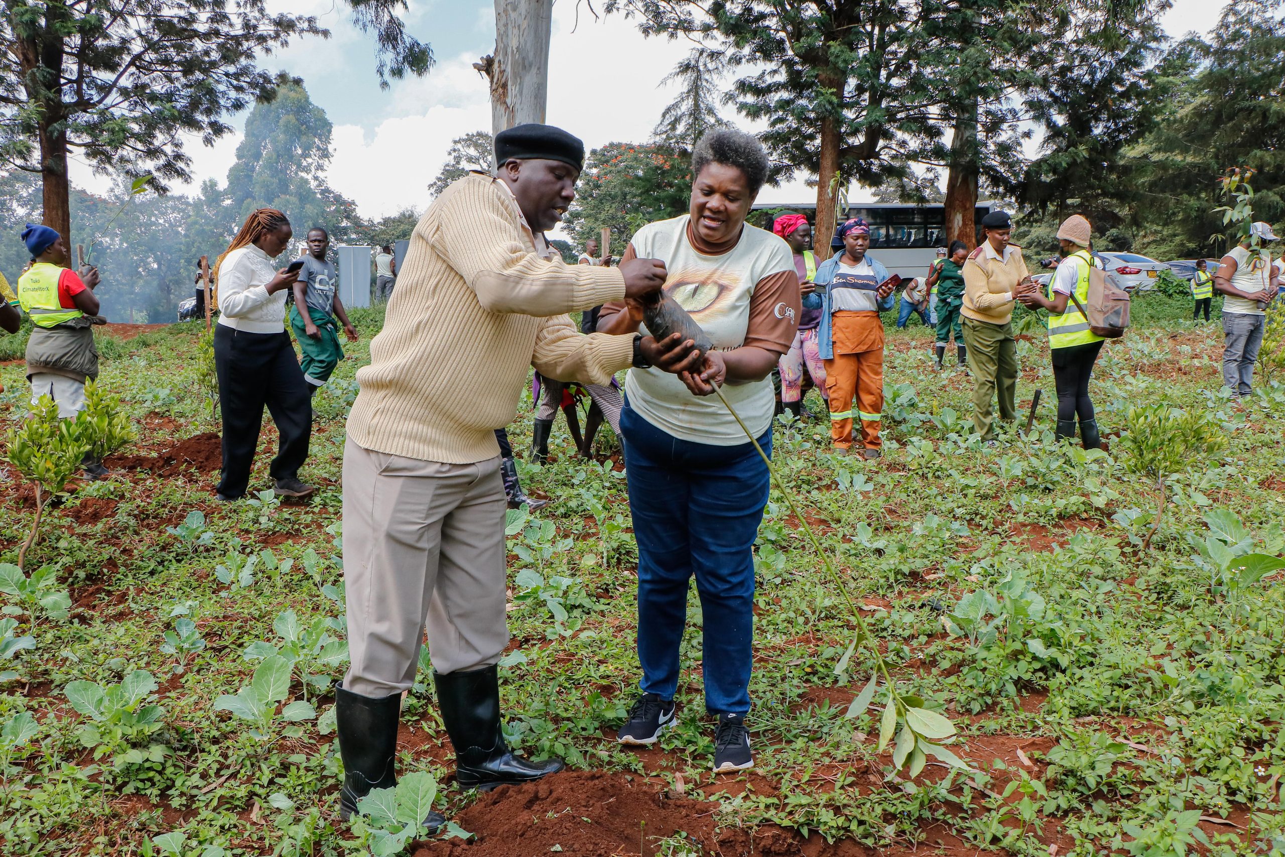 Safal Eye in the Wild Marks World Environment Day With 1,000-Tree Green Zone at Lenana School