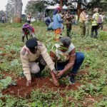 Safal Eye in The Wild Photography Competition Marks World Environment Day With 1,000 Tree Green Zone at Lenana School