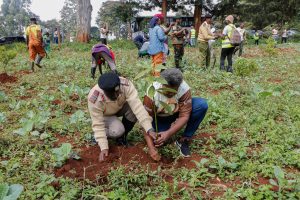 Safal Eye in The Wild Photography Competition Marks World Environment Day With 1,000 Tree Green Zone at Lenana School