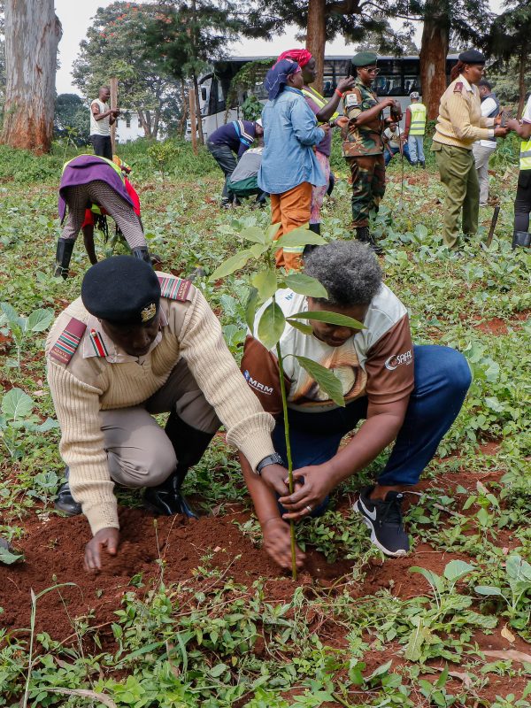 Safal Eye in The Wild Photography Competition Marks World Environment Day With 1,000 Tree Green Zone at Lenana School