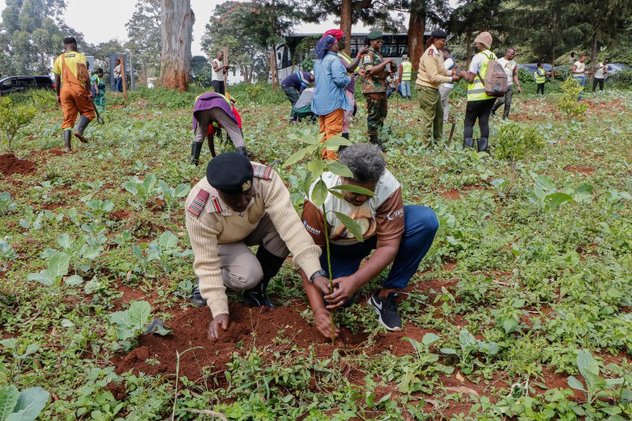 Safal Eye in The Wild Photography Competition Marks World Environment Day With 1,000 Tree Green Zone at Lenana School