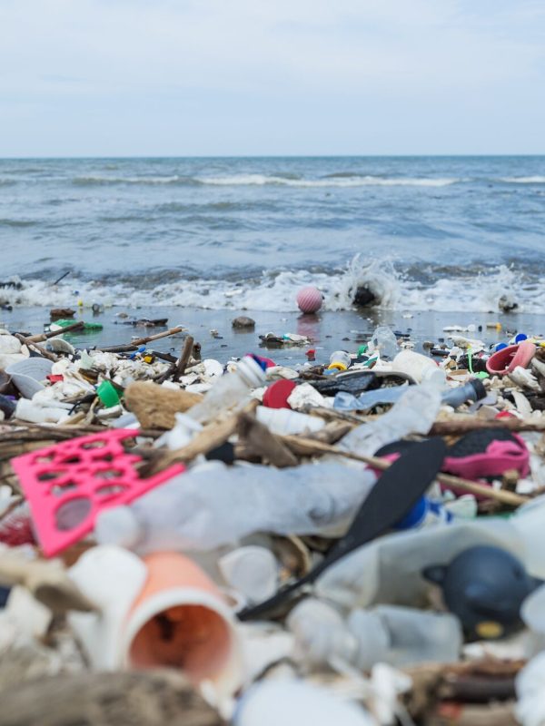 The Kenya Coalition to End Plastic Pollution Calls for Urgent Action to Protect Oceans and Human Health from the Growing Threat of Plastic Pollution