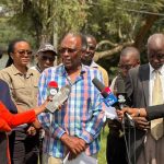 Conservationists Demand End to Forest Land Grabs, Say Kenya Must Protect Existing Forests Before Planting New Trees