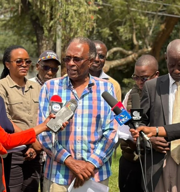 Conservationists Demand End to Forest Land Grabs, Say Kenya Must Protect Existing Forests Before Planting New Trees