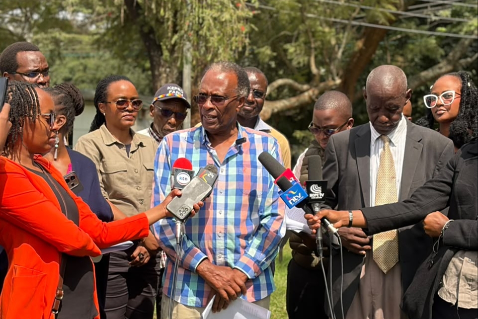 Conservationists Demand End to Forest Land Grabs, Say Kenya Must Protect Existing Forests Before Planting New Trees