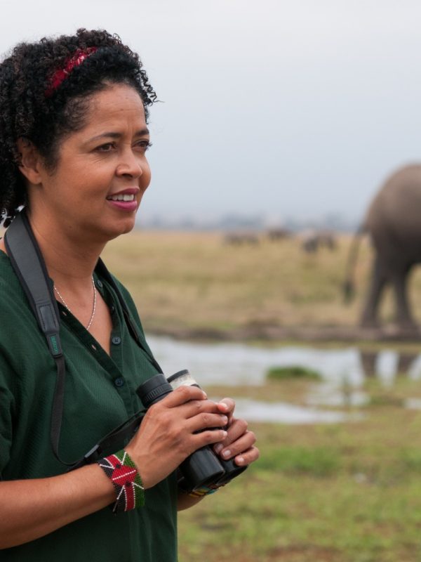 Amboseli Elephant Deaths Expose Gaps in Kenya’s Pesticide Governance