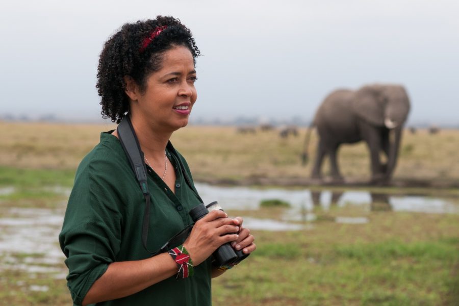 Amboseli Elephant Deaths Expose Gaps in Kenya’s Pesticide Governance