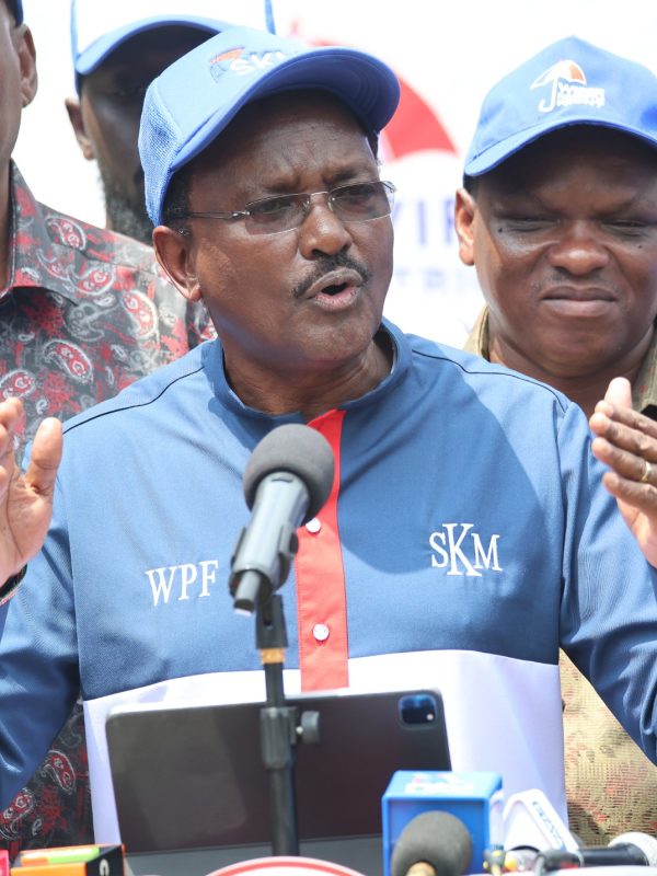 Kalonzo Unveils New Wiper Leadership as Party Gears Up for 2027