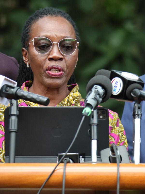 United Alternative Government Raises Alarm Over Political Violence Ahead of 2027 Elections