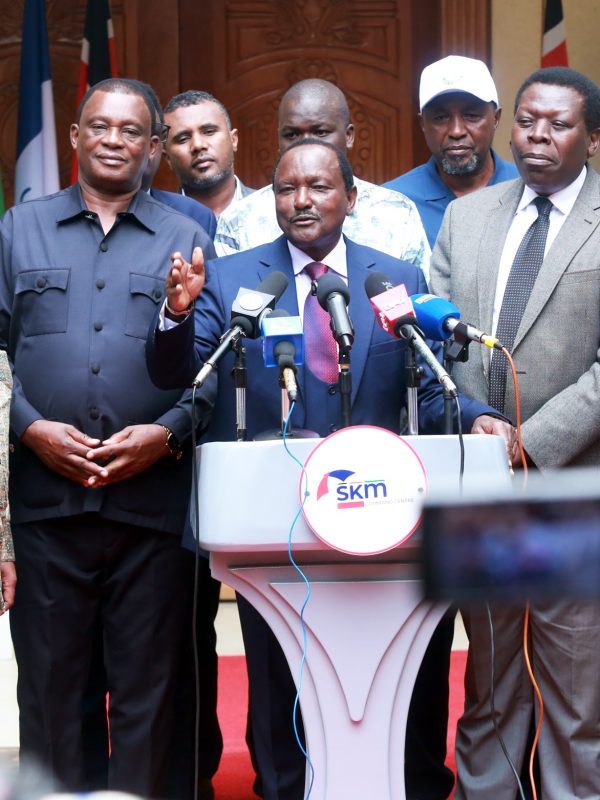 Kalonzo Says Safaricom Ruling Strengthens Constitutional Protection of Public Assets