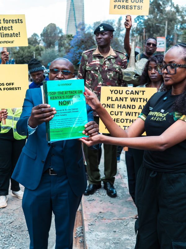 Greenpeace Africa Leads 60,000-Kenyan Petition to Halt Forest Destruction