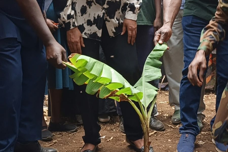 Zoomlion Kenya Launches Waste Management Farm at Dandora School to Promote Environmental Conservation