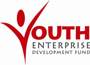 Youth Fund Loan Rejection Raises Questions Over Access to Financing for Young Entrepreneurs